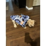 Image 2 of customer photos