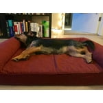 Image 6 of customer photos