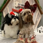 Image 1 of customer photos