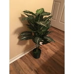 Image 6 of customer photos