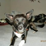 Image 3 of customer photos