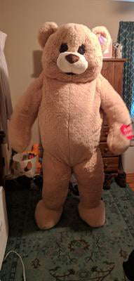 plush bear costume
