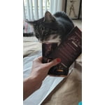 Image 1 of customer photos