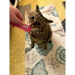 Image 3 of customer photos