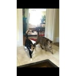 Image 5 of customer photos