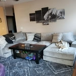 Image 6 of customer photos