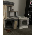 Image 6 of customer photos