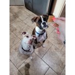 Image 6 of customer photos