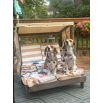 Image 3 of customer photos