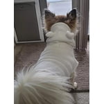 Image 7 of customer photos