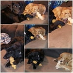 Image 2 of customer photos