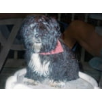 Image 6 of customer photos