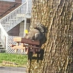 Image 5 of customer photos