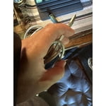 Image 8 of customer photos