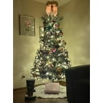 Image 6 of customer photos