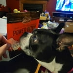 Image 3 of customer photos