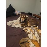 Imagen 7 de las fotos del cliente