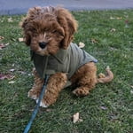 Image 7 of customer photos