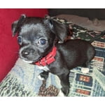 Image 2 of customer photos