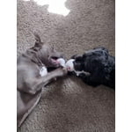 Image 5 of customer photos