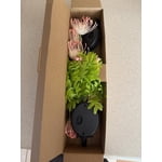 Image 6 of customer photos