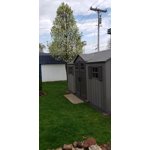 Image 2 of customer photos