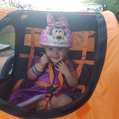 Schwinn Springbrook Bicycle Trailer Two Passengers Orange Black Walmart