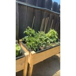 Image 1 of customer photos