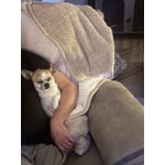 Image 6 of customer photos