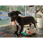 Image 5 of customer photos