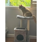 Image 4 of customer photos