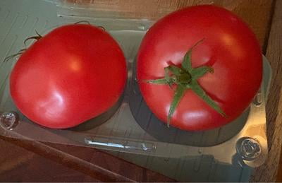 Fresh Produce Fresh Slicing Tomato 2 Pack Juicy Red Garden