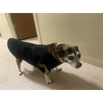 Image 7 of customer photos