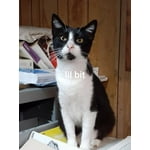 Image 6 of customer photos