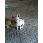 Image 6 of customer photos