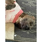 Image 2 of customer photos