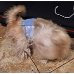 Image 2 of customer photos