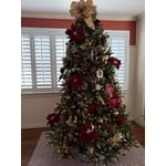 Image 1 of customer photos