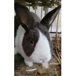 Image 6 of customer photos