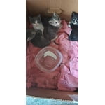 Image 2 of customer photos