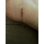 Image 6 of customer photos