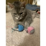 Image 2 of customer photos