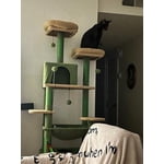 Image 6 of customer photos