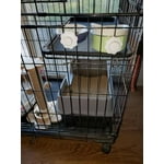 Image 3 of customer photos