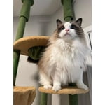 Image 4 of customer photos