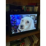 Image 2 of customer photos