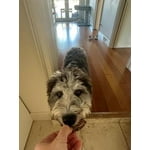 Image 7 of customer photos