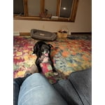 Image 3 of customer photos