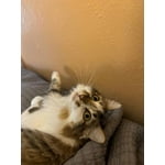 Image 1 of customer photos