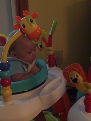 Bright Starts Bounce Baby Activity Center Com - Bright Starts Bounce Baby Replacement Seat Cover Bright Starts Bounce Baby Activity Center Com - Bright Starts Bounce Baby Replacement Seat Cover